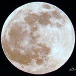 Bella - Luna piena