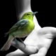 Comprendere-la-morte,-accompagnare-la-vita