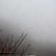 Nebbia