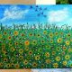 Fiori di campo