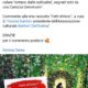 Commento a Fatti diVersi, di Tiziana Gubbini